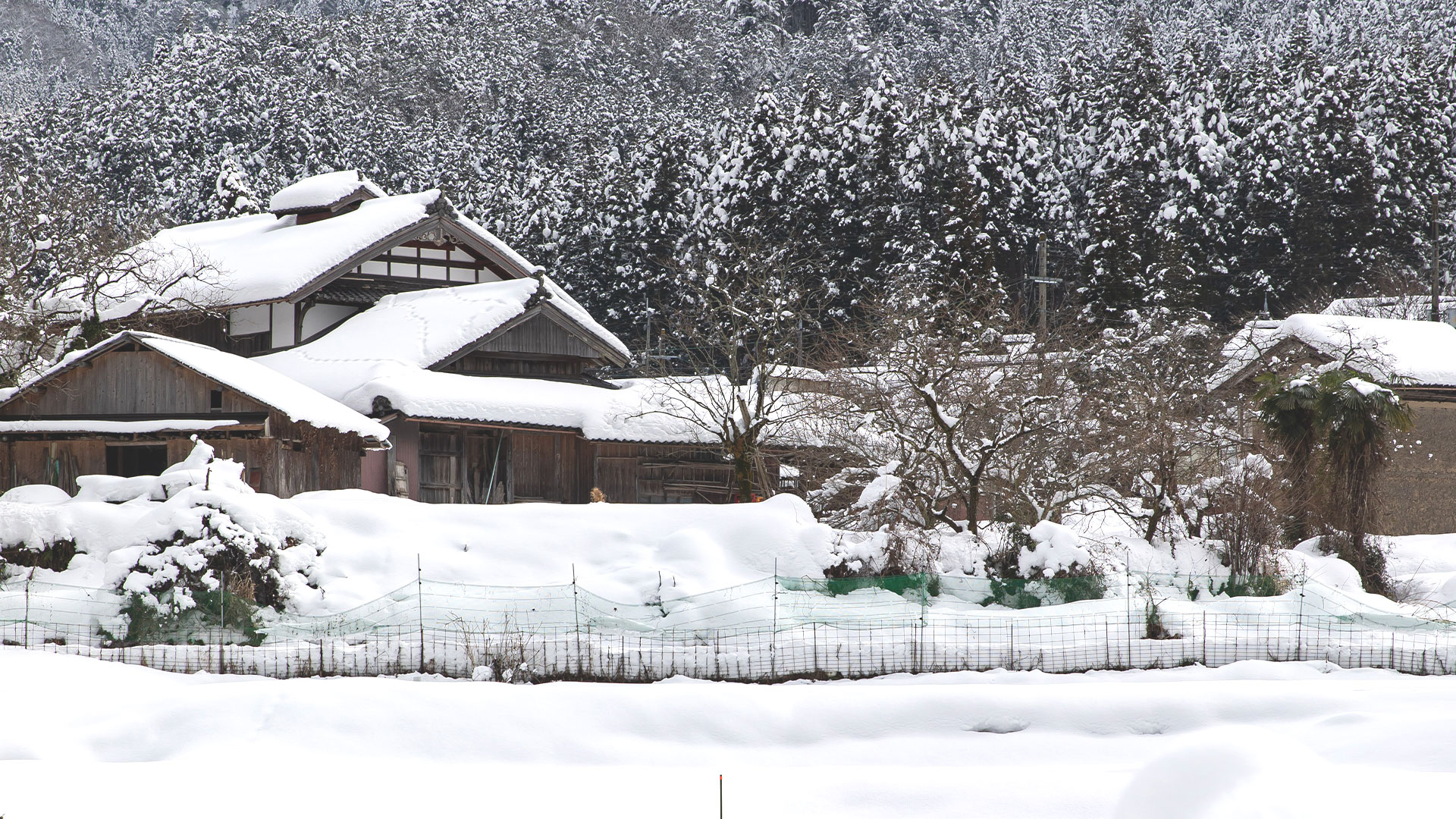 美山 cafe marco_外観雪景色